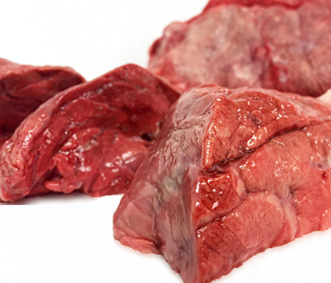 Cow Lungs